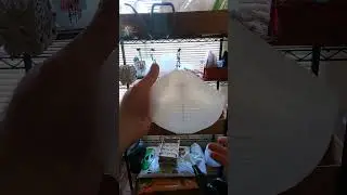 Turning Plastic Jugs into Plant Pots