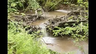 When the water stands still