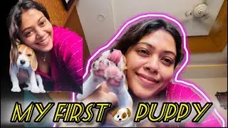 Meet Our New Puppy | Coco First Day At Home | Cutest Begal 🐶 Tzu Pupp...#viral dogs