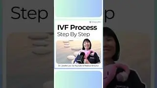Step by Step IVF Process Explained