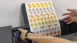 2 Head Digital Die cutter 1800 mm/sec   Software installation training