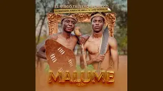 Elvirgo, TallexQ & Chicco - Malume 2.0 (Official Audio) ft. Makhadzi, Kabza De Small & Lxrd Mordecai