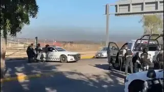 Son of &lsquo;El Chapo&rsquo; Successfully Arrested in Mexico