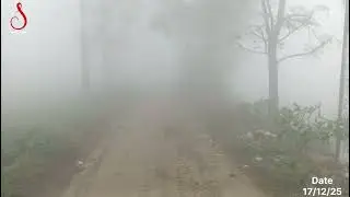 सुबह सवेरा ।मेरा गांव मेरा देश । Kuhasa me duba gaw ! #sonubabu #vlog #gopalganj #video 