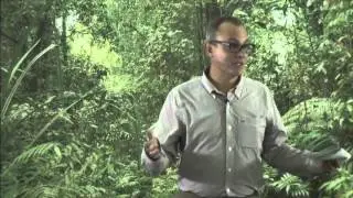 Louis Putzel - China and sustainability in global extractive industries
