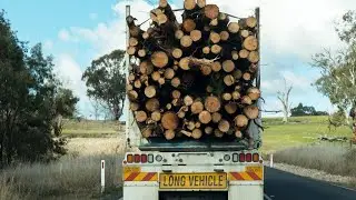 Andrew's government has ‘signed the death warrant’ on Victorian timber industries