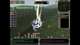 Shadowbane White knight vs White horse