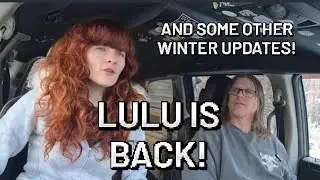 Lulu Lives! Van Saved, Winter Hustle & Tour Plans | Couple of Wanderers Update