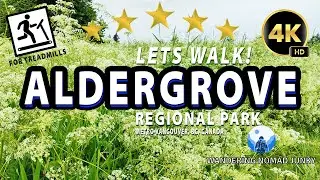 LETS WALK Aldergrove Park - Pepin Brook & Rock'N Horse Trail - Easy Rainy Lazy Sunday Stroll - Lo-Fi