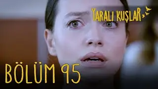 Yaralı Kuşlar 95. Bölüm