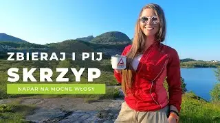 SKRZYP POLNY🌿 Napar na mocne włosy🌿 Dzikie witaminy!