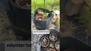 Transform Reclaimed Materials into Garden Treasures: DIY Sustainable Projects