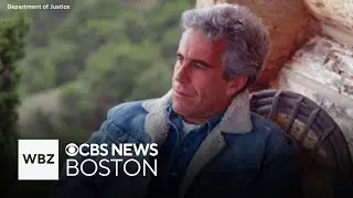 Slow release of Epstein files sparks criticism