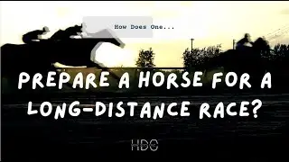 How does one prepare a horse for a long-distance race?