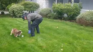Yard work play time
