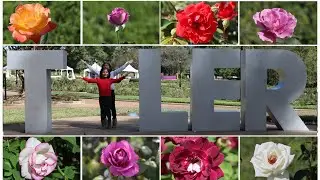 Tyler Texas Rose Garden \ Rose Festival @ Tyler Texas \ Queen's Tea Rose Festival \ Shamiru's World