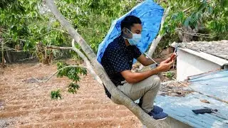 La educación virtual no está al alcance de todos en América Latina y el Caribe