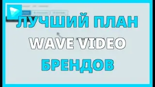 ЛУЧШИЙ ПЛАН WAVE VIDEO ДЛЯ БРЕНДОВ, КОТОРЫЕ ХОТЯТ МАСШТАБИРОВАТЬСЯ