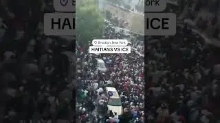 Meanwhile Brooklyn New York Haitians VS ice agents ￼
