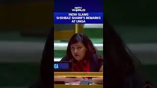 India Slams Shehbaz Sharif's Remarks At UN: 