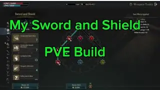 Lordnine Sword and Shield PvE build