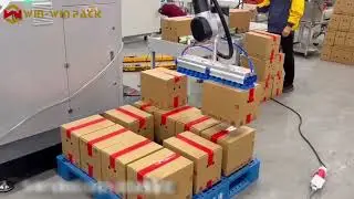 WIN-WIN PACK Robotic Palletizer with Vacuum Suction Gripper for Carton Stacking #palletizing