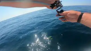 Great day of fluke fishing!!