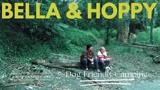 Bella&rsquo;s Adventure: Dog-Friendly Camping at Victoria&rsquo;s Holiday Retreat