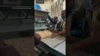 Distoner machine for garlic cleaning 📲📞☎️ +91 90985 87992