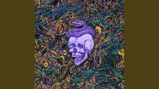 Squidd Lyfe Crysus (Trashed)