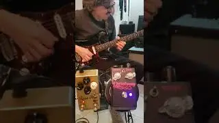Formula B Super Plexi & Octofuzzy
