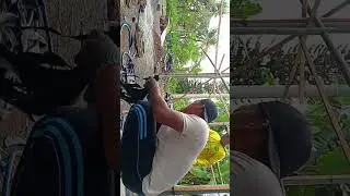 Fat lee Kusuma efendi sedang live sekarang!
