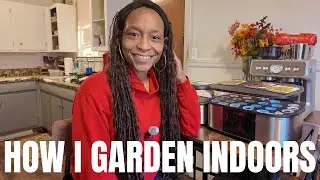 What Am I Planting in the Hydroponics Grow System | Gardening Indoors in a Small Space