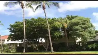 Olde Naples 3rd Street Beach Homes Estates Mansions Condos.