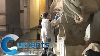 The Medici Chapels Restored: Grime-Eating Microbes Feast on Stained Sculptures