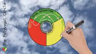Polyvagal Circle (English Version)