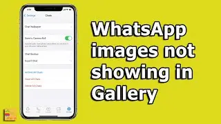 Изображения WhatsApp не отображаются в галерее (для iPhone) &mdash; 3 способа решения