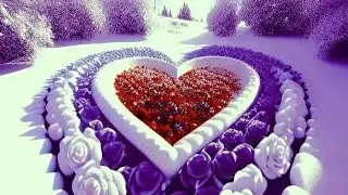 beautiful natural view,Art of the nature , beautiful flowers,#photography #photochallenge #nature