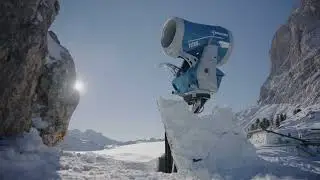 The 