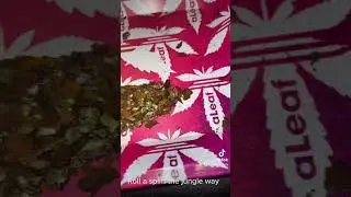 #howto roll Ah #spliff the jungle way 🦁 🤣😂 #jokes #funny #stoner #fyp #love #junglegod #godsaid