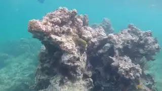 Serenity Sea Tours Virtual &ldquo;Dip&rdquo; in our world!