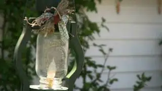 Canon HFS10 Letus Mini Footage