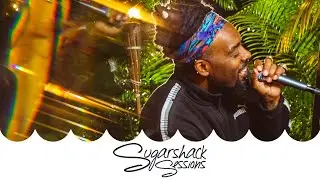 Kuf Knotz & Christine Elise - City Lights (Live Music) | Sugarshack Sessions