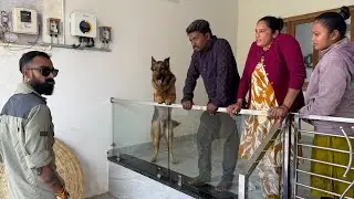 New Student Behaviour Explained 🐕 | Travelling to Student Place #monomark_k9 #travelvlog #live 