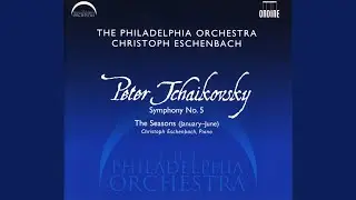 Symphony No. 5 in E Minor, Op. 64: II. Andante cantabile con alcuna licenza