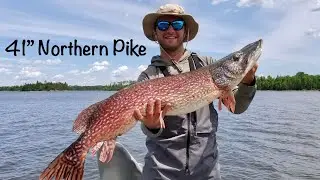 41&rdquo; Northern Pike on 8 lb Fishing Line