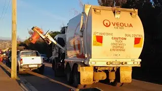 Launceston Garbage & FOGO ~ 71105 & 71103