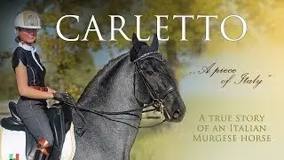 THE STORY OF CARLETTO | True story of an Italian Murgese horse