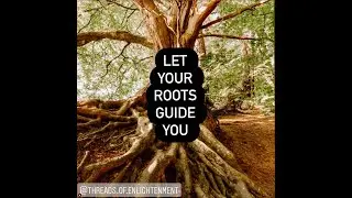 Threads of Enlightenment S2 E41