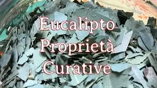 Tisana all&rsquo;Eucalipto - Cura il  Raffreddore - Febbre - Catarro - Tosse